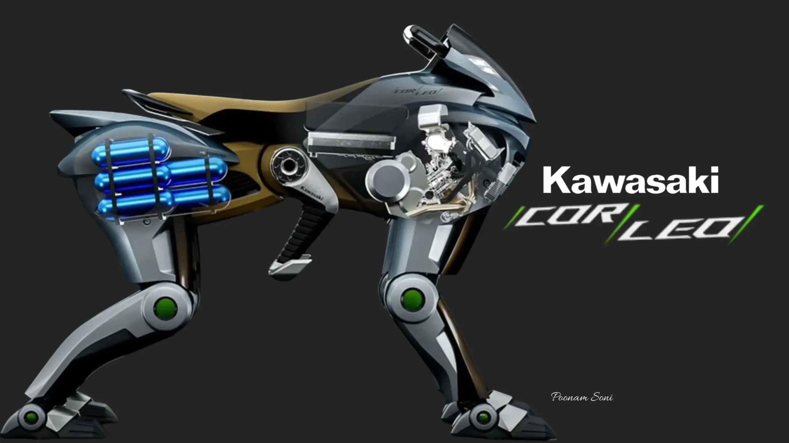 Kawasaki Corleo